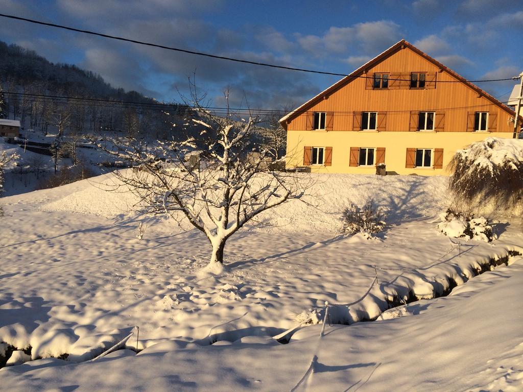 Bed and Breakfast Chez Jeanmyvonne La Bresse Exterior foto