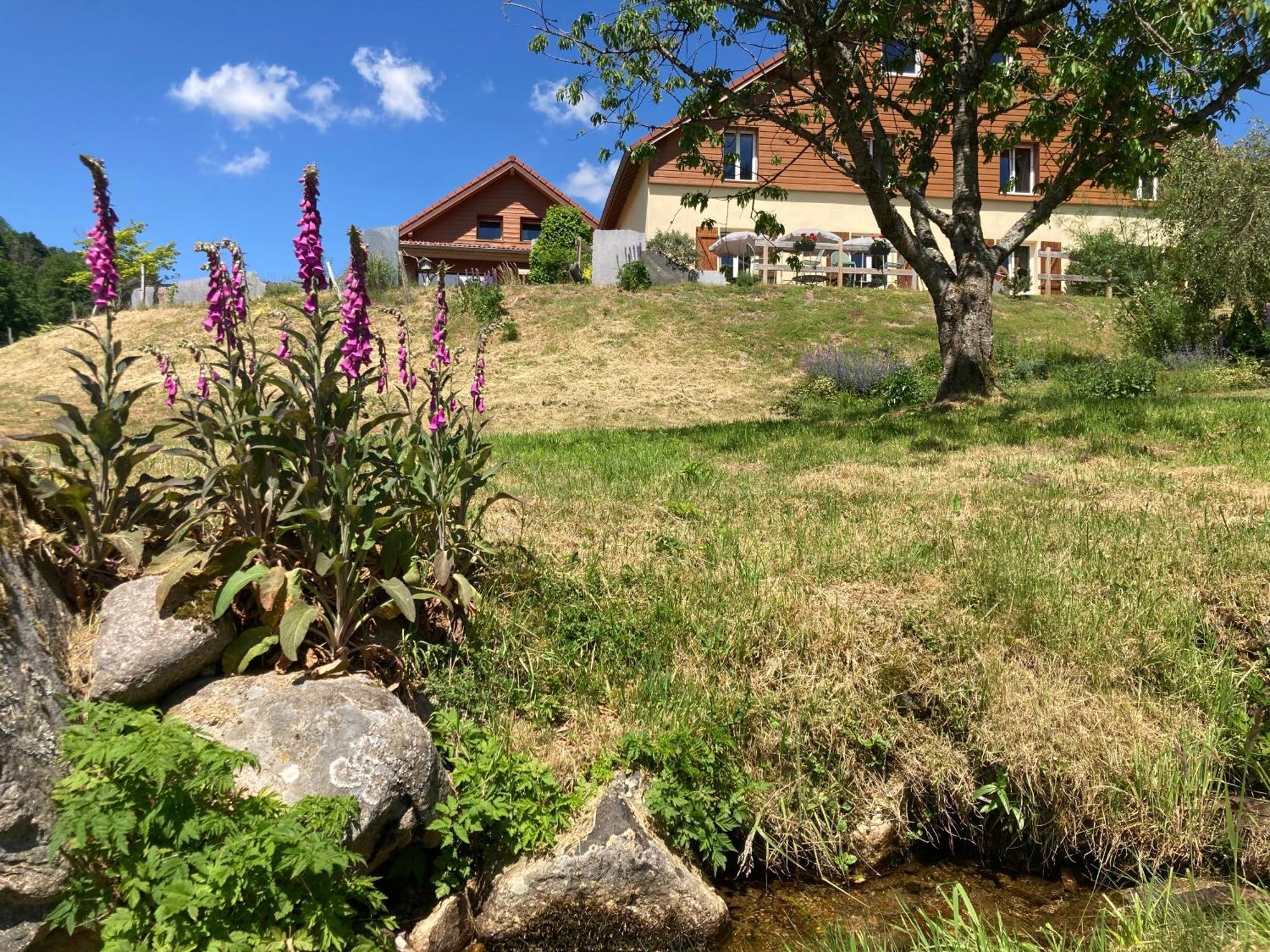Bed and Breakfast Chez Jeanmyvonne La Bresse Exterior foto