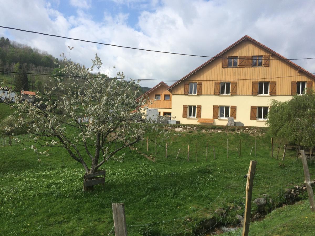 Bed and Breakfast Chez Jeanmyvonne La Bresse Exterior foto