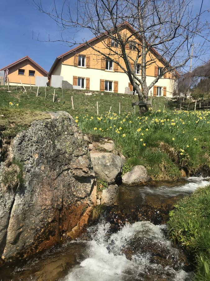 Bed and Breakfast Chez Jeanmyvonne La Bresse Exterior foto